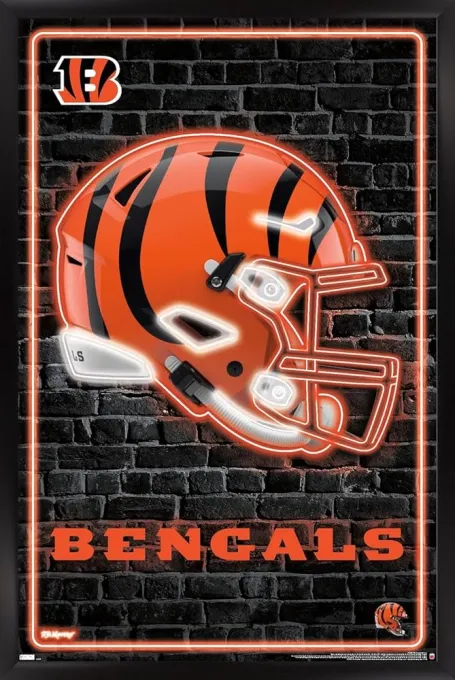 Cincinnati Bengals vs. Cleveland Browns (Date: TBD)